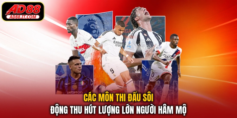 Các môn thi đấu sôi động thu hút lượng lớn người hâm mộ