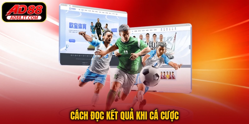 Cách đọc kết quả khi cá cược