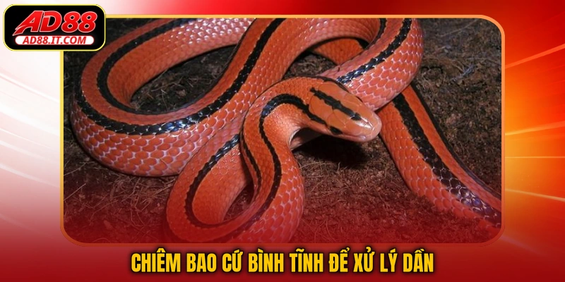 Chiêm bao cứ bình tĩnh để xử lý dần