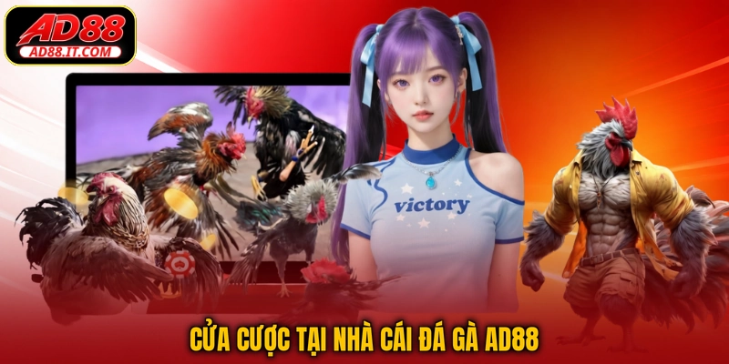Cửa cược tại nhà cái đá gà AD88