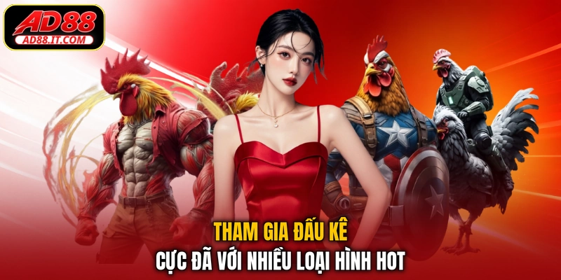 Tham gia đấu kê cực đã với nhiều loại hình hot