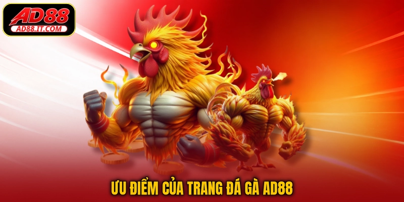 Ưu điểm của trang đá gà AD88