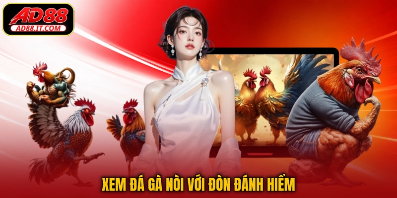 Xem đá gà nòi với đòn đánh hiểm